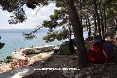 Autocamp Danijel photo 2