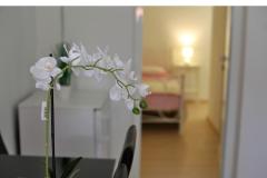 Apartments Karin Apartment 3 – A-3 foto 4