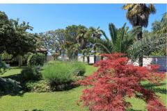 Dragan Apartments Apartment 3 – apartman foto 1