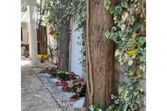 Apartments Ela Apartment 2 – A1 foto 4