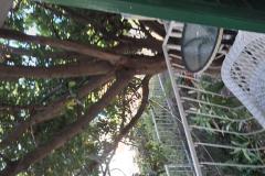 Dijana Beach House Apartment 1: (14+4) – Villa Dija foto 5