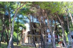 Apartments Floris Ivan Dolac Apartment 3 – 9 guests foto 4