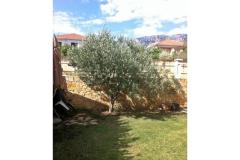 Apartments Vito Apartment 1 – Bartul foto 2