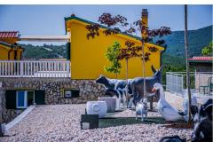 Luxury villa Cvita Apartment 1: (18+4) – VillaCvita foto 3