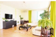 Split View Apartment 2 – Green Appt foto 2