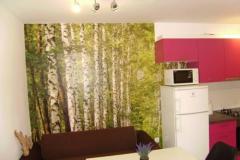 Apartaments Samanic Apartment 2 – Apartman 4 foto 2