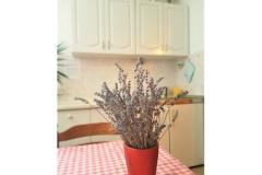 Apartments Dragica Begović Apartment 2 – STUDIO-AP2 foto 1