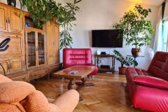 Apartments Vinea Apartment 1 – Vinea A1 foto 3