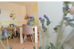 Apartment Bonzo Novalja Apartment 1 – BONZO foto 4