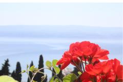 Apartments Rubić Apartment 3 – Apartman 4 foto 3