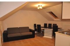 Apartments Seno Apartment 3 foto 2