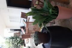 Lola Apartment 1 – A4+1 foto 2