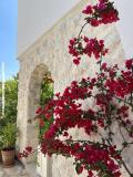 Apartments Ksenija Apartment 4 – LEMONE foto 4