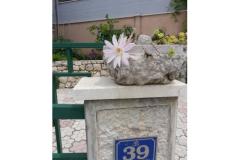 Rako Apartments Marilka Apartment 3 – APARTMAN 2 foto 1