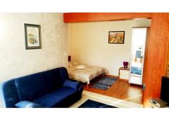  Rajcic apartmani Apartment 3 – studio2+1 foto 2