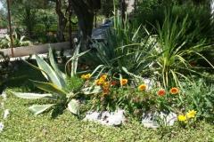 Santa Chiara Apartments Apartment 4 – apartman 4 foto 5