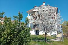 Apartments i Rooms Markovic Room 2 – ROOM foto 1