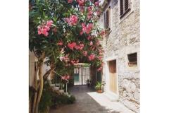 Apartments Stone House Apartment 1 – Lavanda foto 1