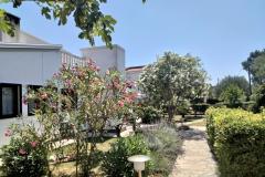 Apartments Budija / Lavanda Apartment 1 – Lavanda 1 foto 2