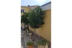 Ferienanlage Villa Ljiljana Apartment 2 – Bungalow foto 2