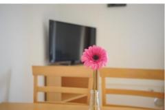 Appartement Graf Apartment 3 – Ap 2+3 foto 4