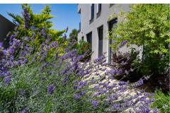 Villa Nina D Apartment 1 – Villa Nina foto 5