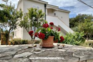 Apartments Budija / Viola – Vir