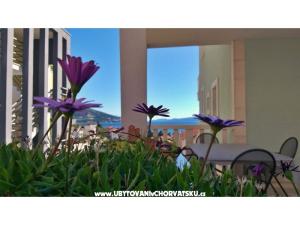 Apartments DaMa
