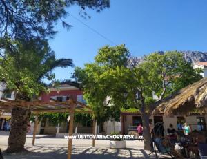 Apartments Plavi Jadran