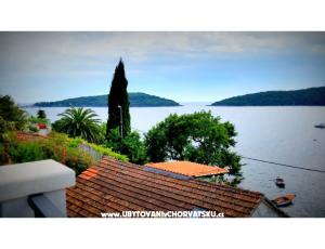 Apartments Villa Riva Molunat
