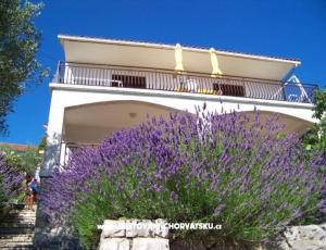 Apartments Stipišić