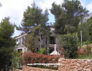 Apartments Villa Ypsilon