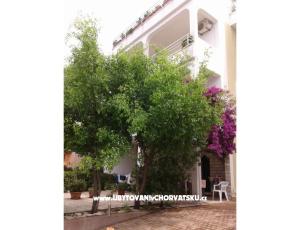 Apartments Lile