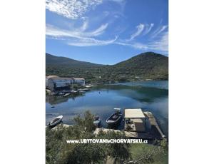 Apartments Ivomir Malo more