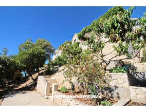 Apartments Ana