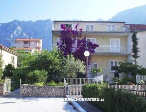 Apartments IVO