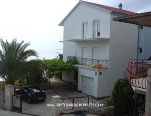 Vila ANI   