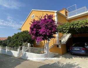 Apartments  Ante