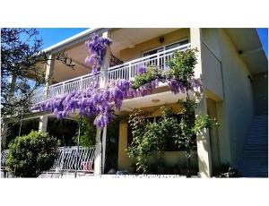 Apartments Marijela