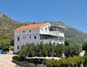 Sea Forever Apartments