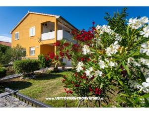 Apartment Agava Seline