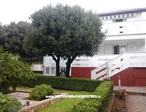 Apartments Neda 