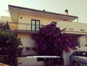 Apartments Danica