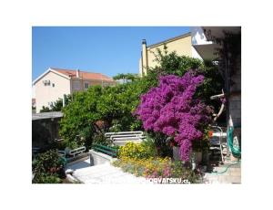 Apartments - Minka i Vite