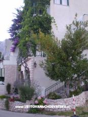 Apartments Antonela Drašnice