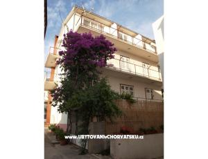 Apartments Zuban