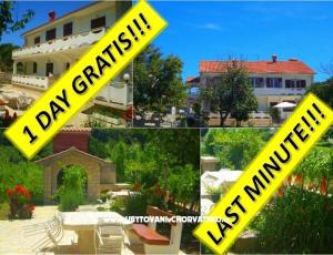 Apartments Vesna