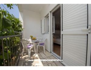 Apartment Neva