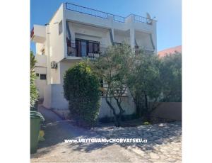 Apartments Pavle