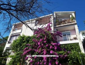 Apartments Moso